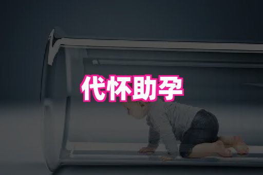 821孕网 1
