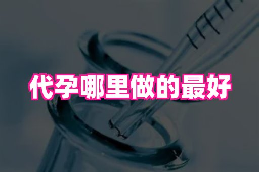 821孕网 3
